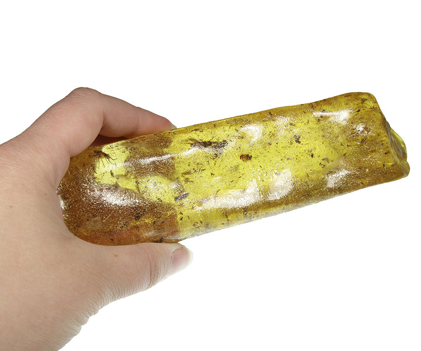 Copal / Young Amber with insect inclusions