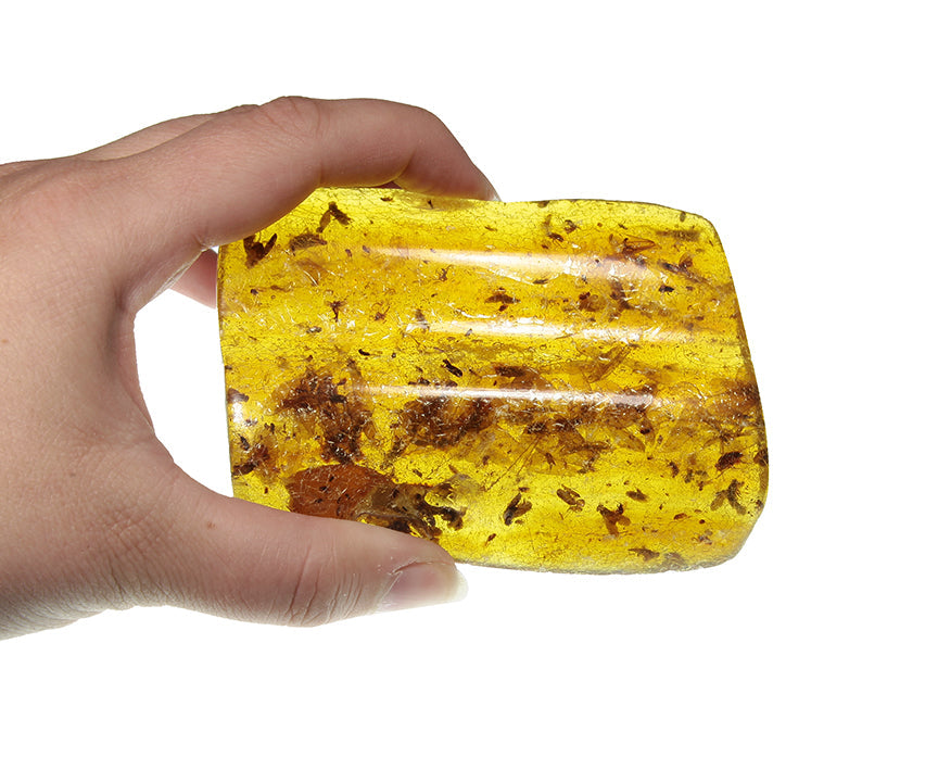 Copal / Young Amber with insect inclusions