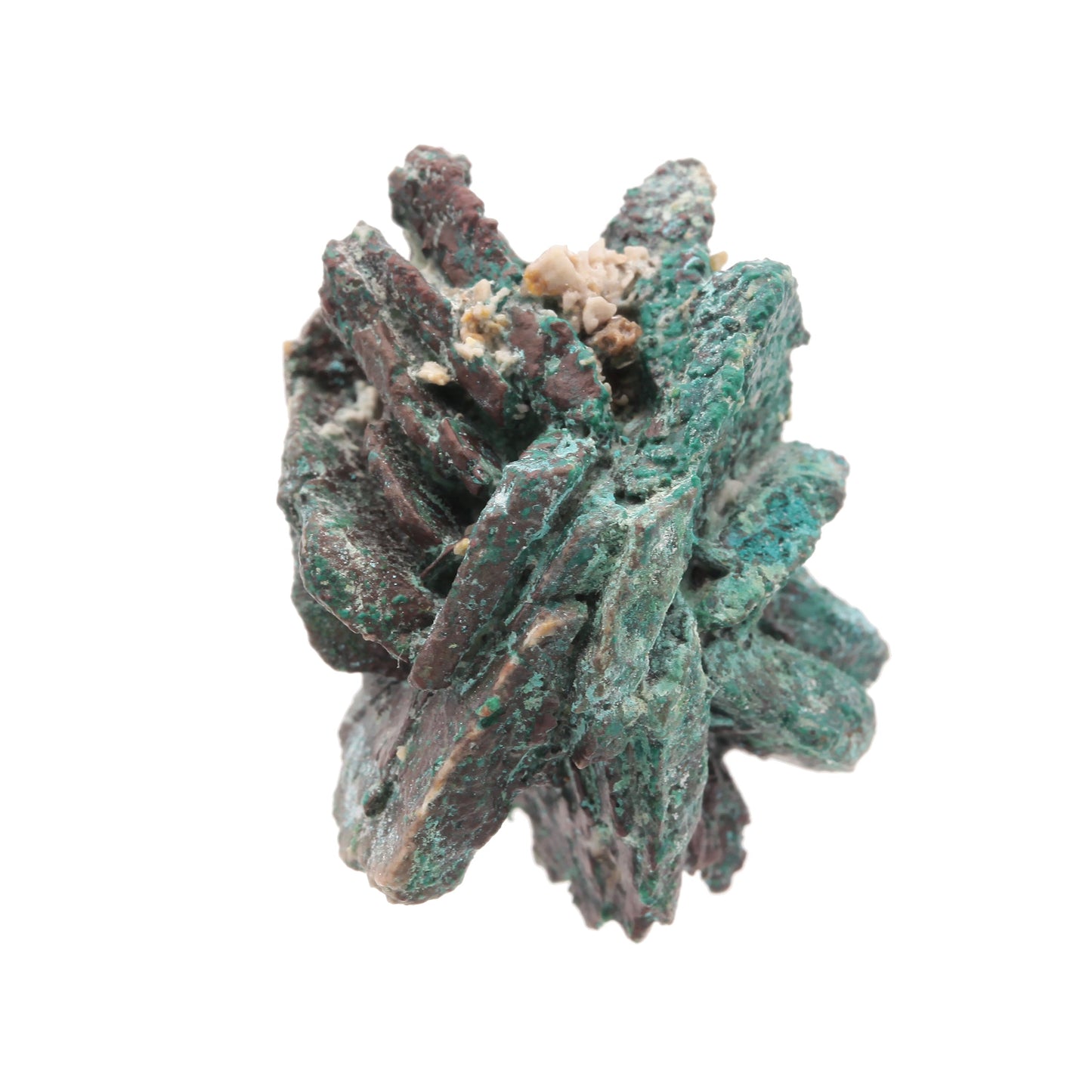 Copper pseudomorph after Azurite
("Copper Rose") with Malachite