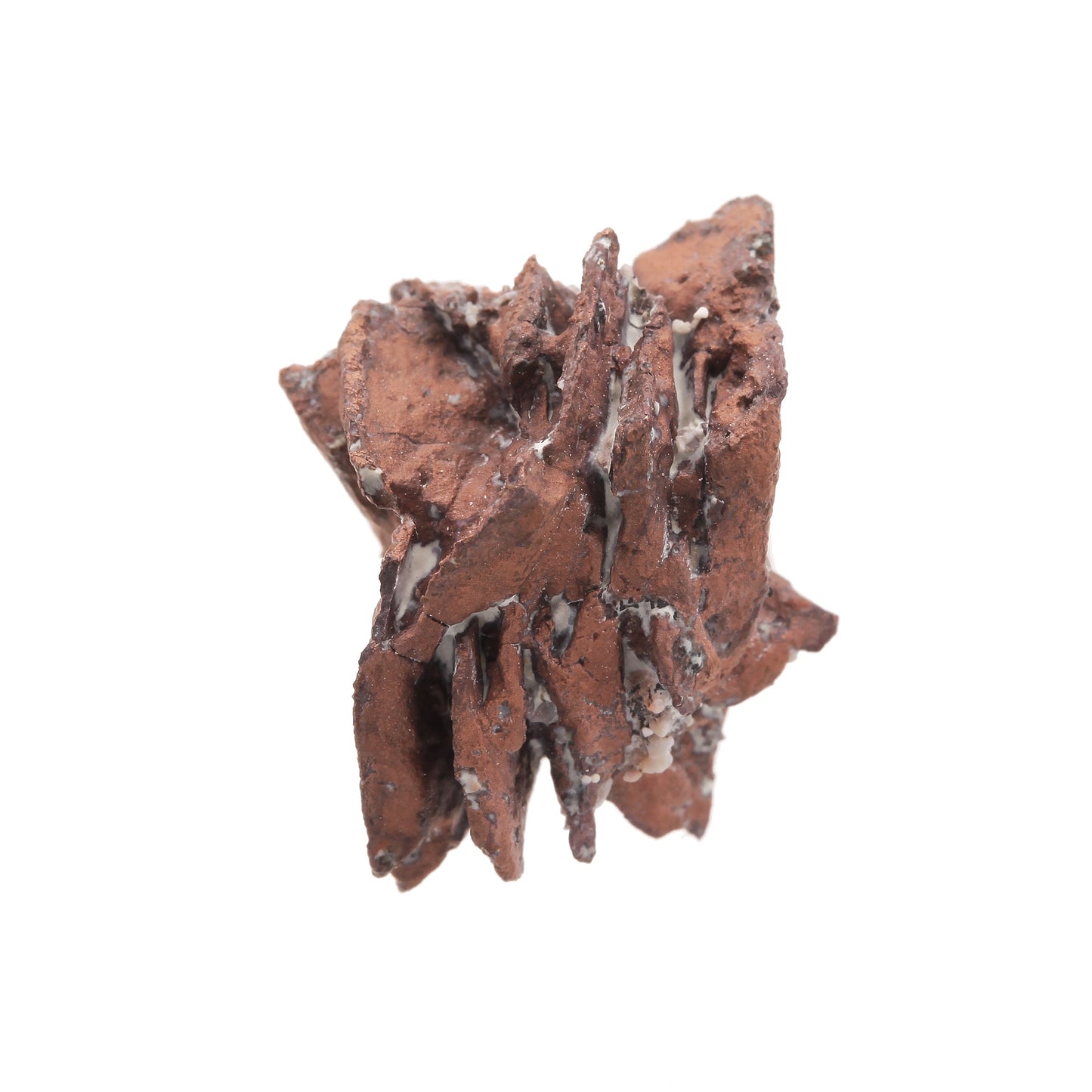Copper pseudomorph after Azurite
("Copper Rose")