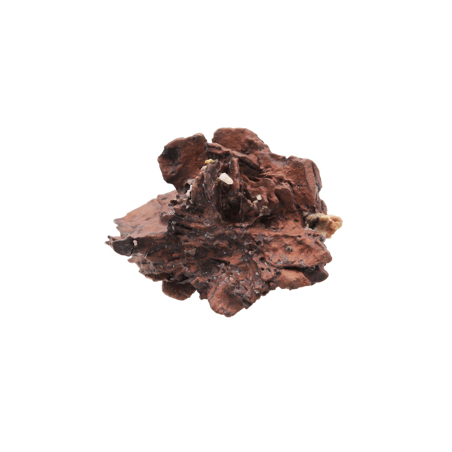 Copper pseudomorph after Azurite
("Copper Rose")