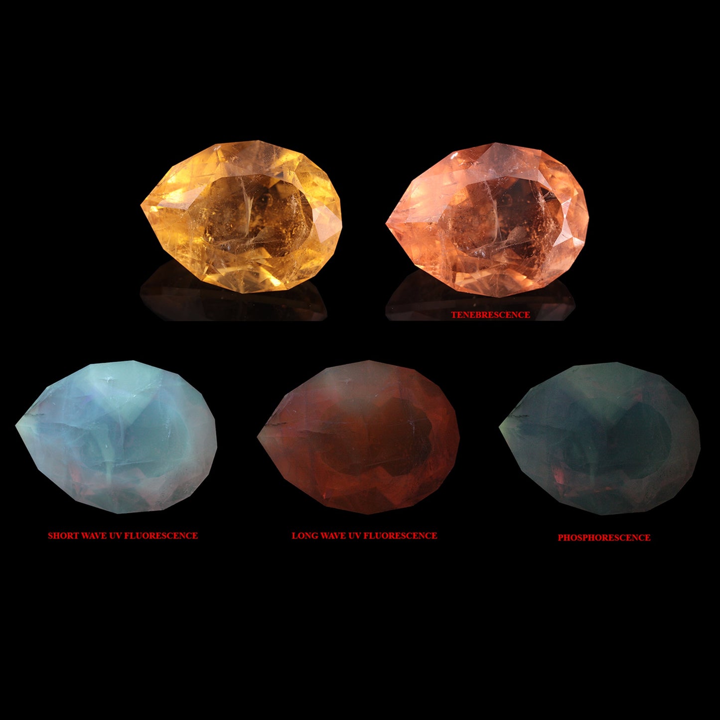 Sodalite var: Hackmanite
Outstanding World-Class Incredibly Large Rare Orange Color Fluorescent/Tenebrescent