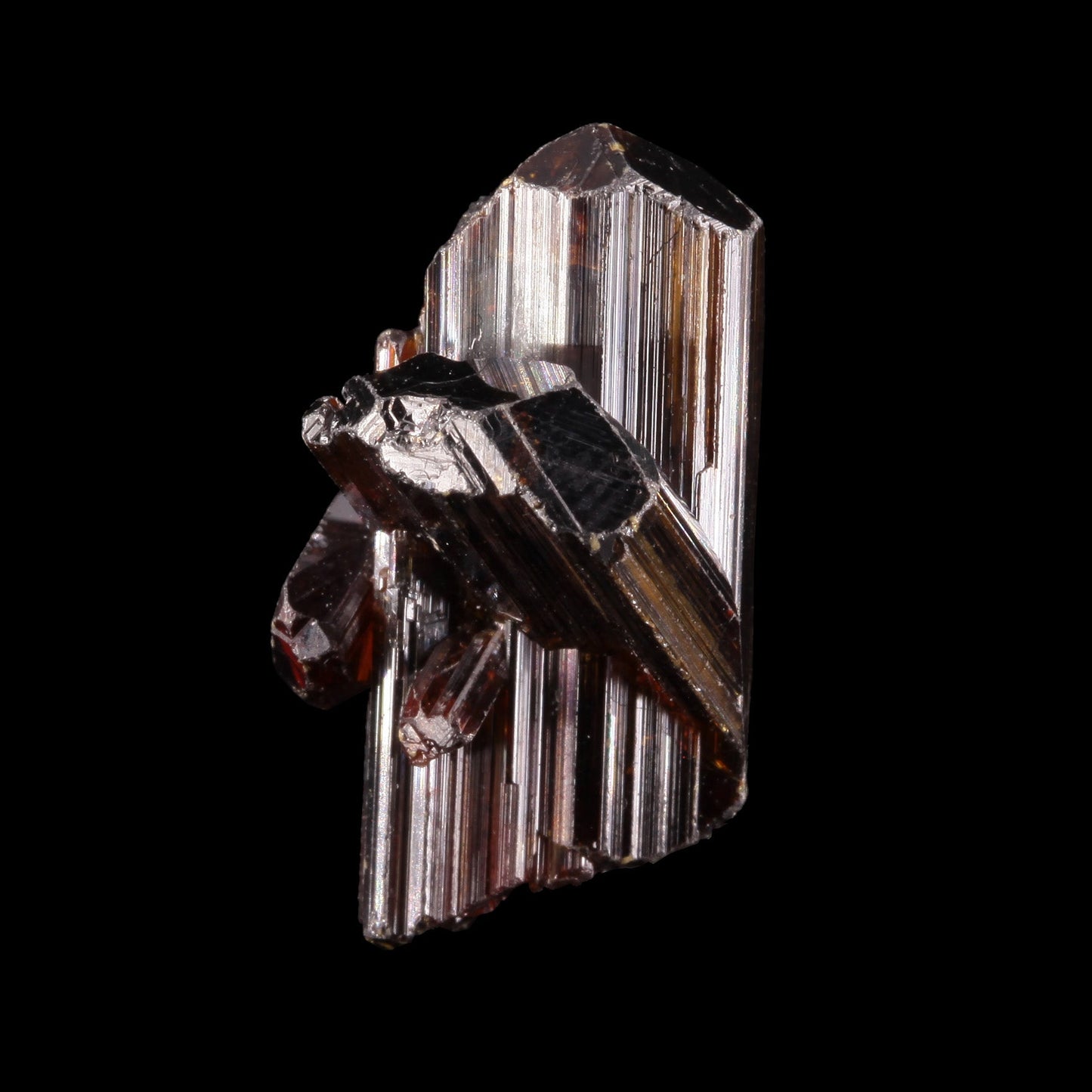 Rutile
(superb GEMMY{!} reticulated "floater" twinned crystal group)