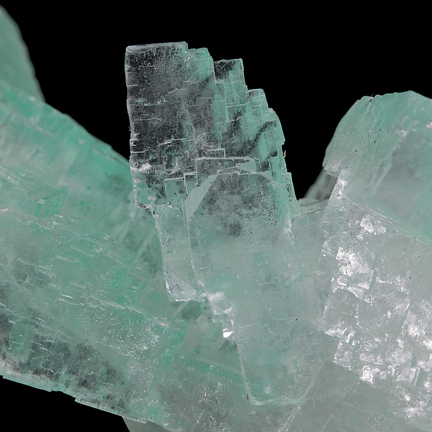 Halite