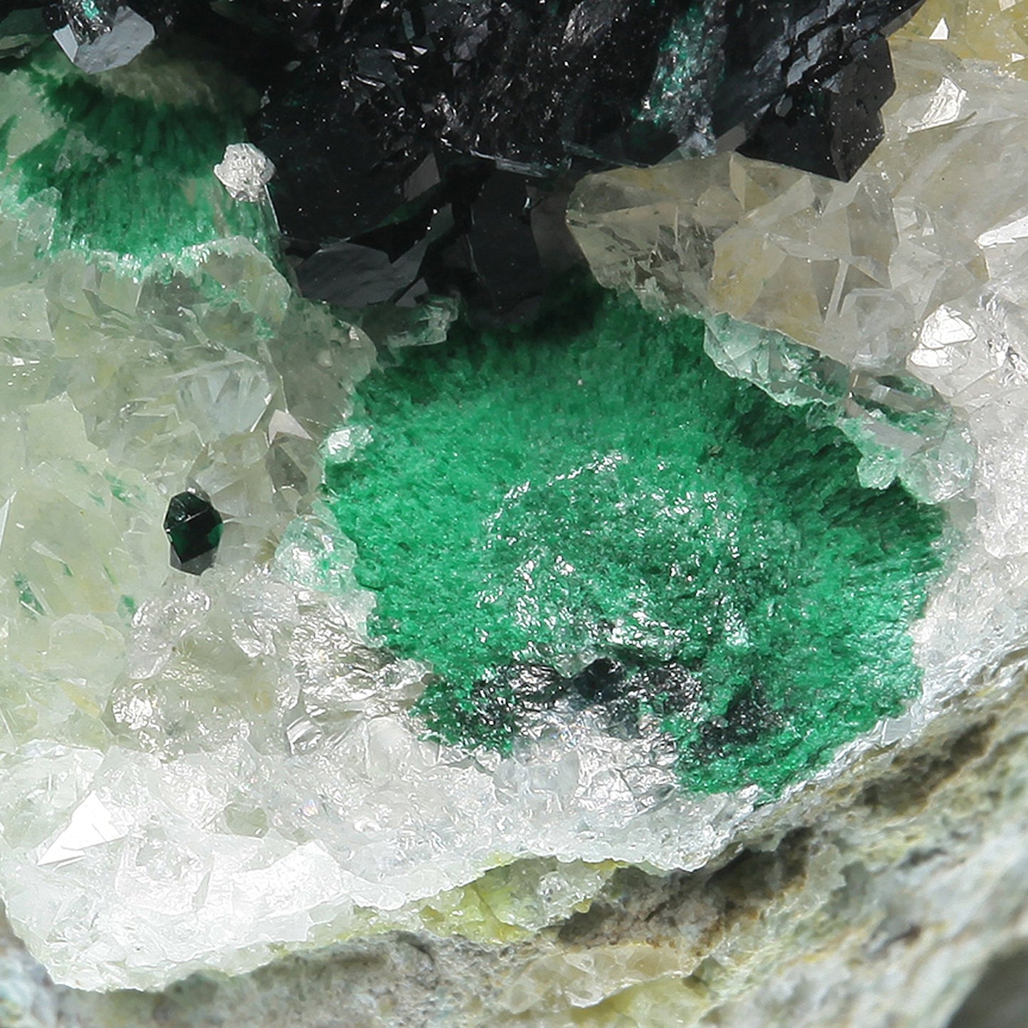 Paratacamite with Malachite
