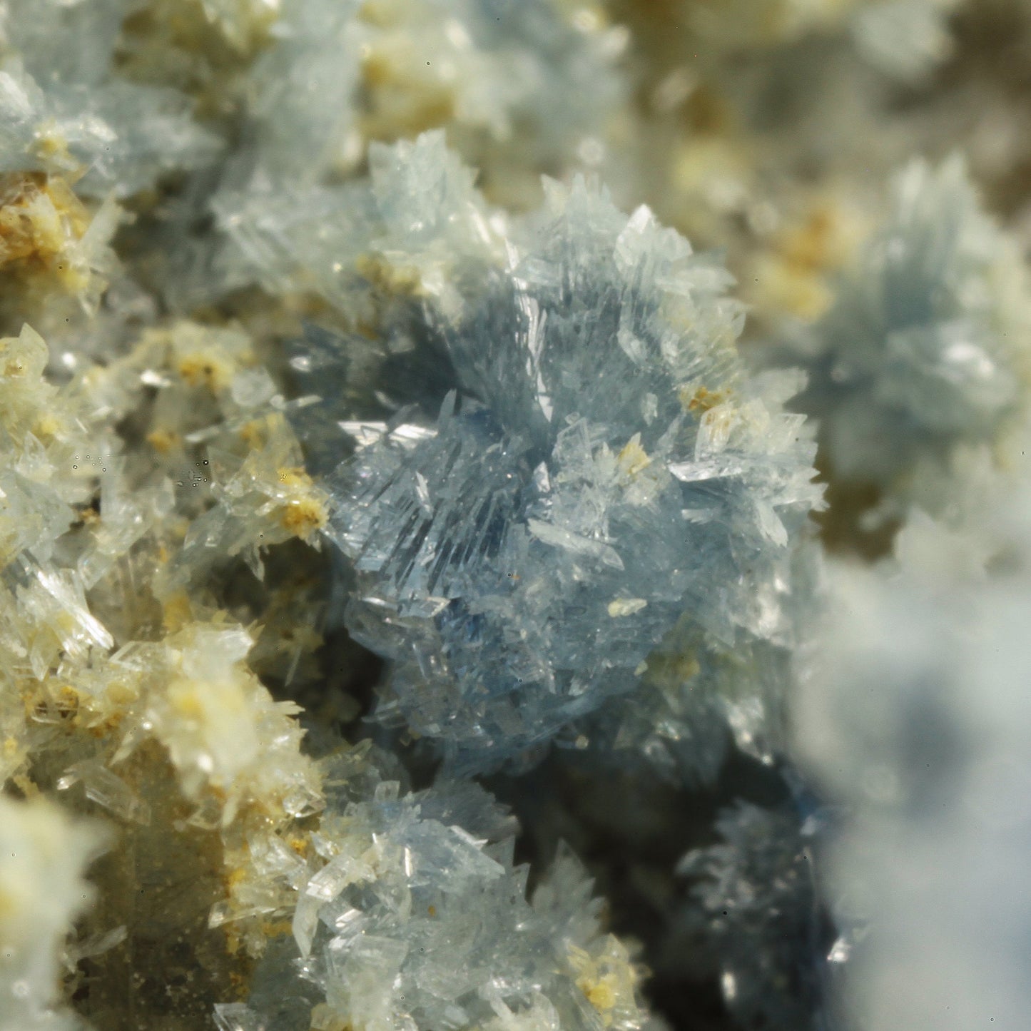 Vauxite with Paravauxite, Metavauxite and Sigloite