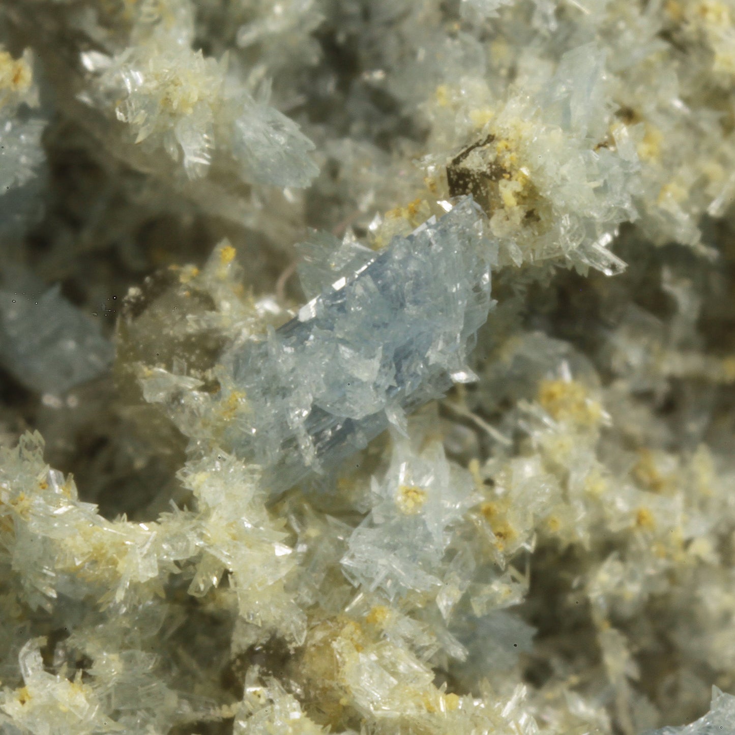 Vauxite with Paravauxite, Metavauxite and Sigloite