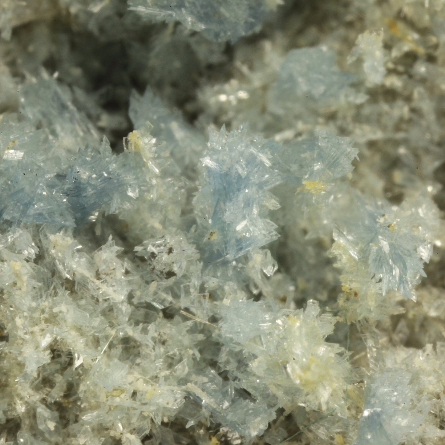 Vauxite with Paravauxite, Metavauxite and Sigloite