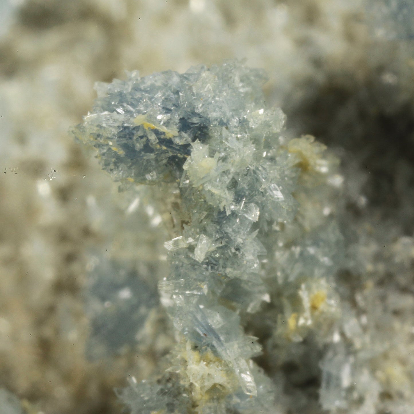 Vauxite with Paravauxite, Metavauxite and Sigloite