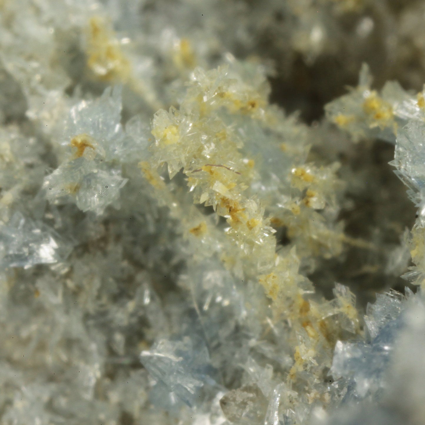 Vauxite with Paravauxite, Metavauxite and Sigloite