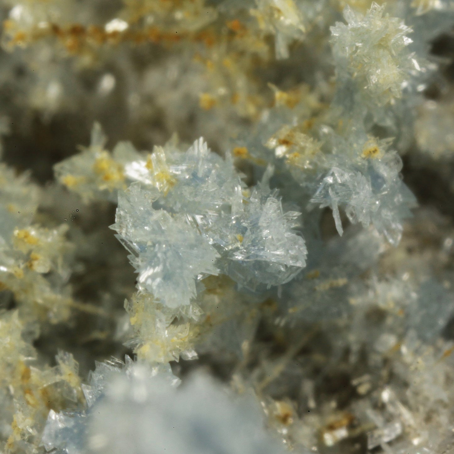 Vauxite with Paravauxite, Metavauxite and Sigloite