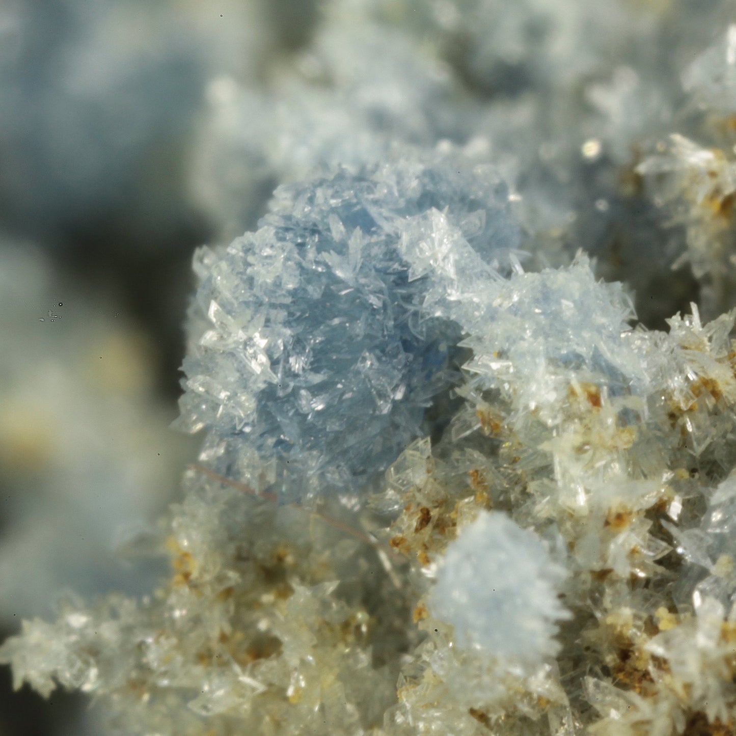 Vauxite with Paravauxite, Metavauxite and Sigloite