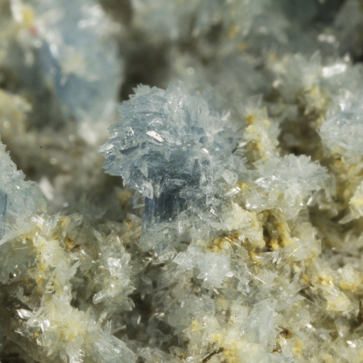 Vauxite with Paravauxite, Metavauxite and Sigloite