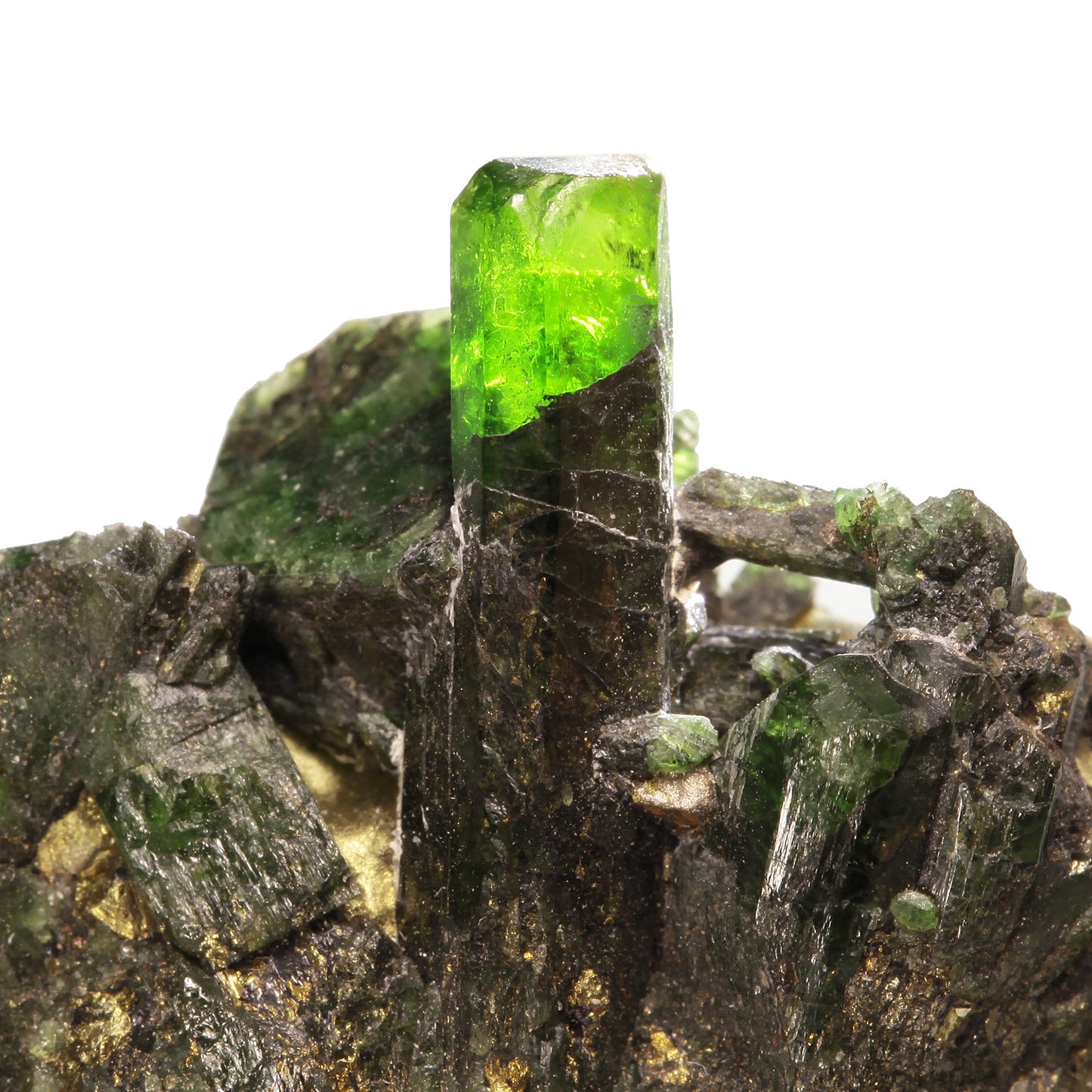Diopside
(Chromian Diopside)