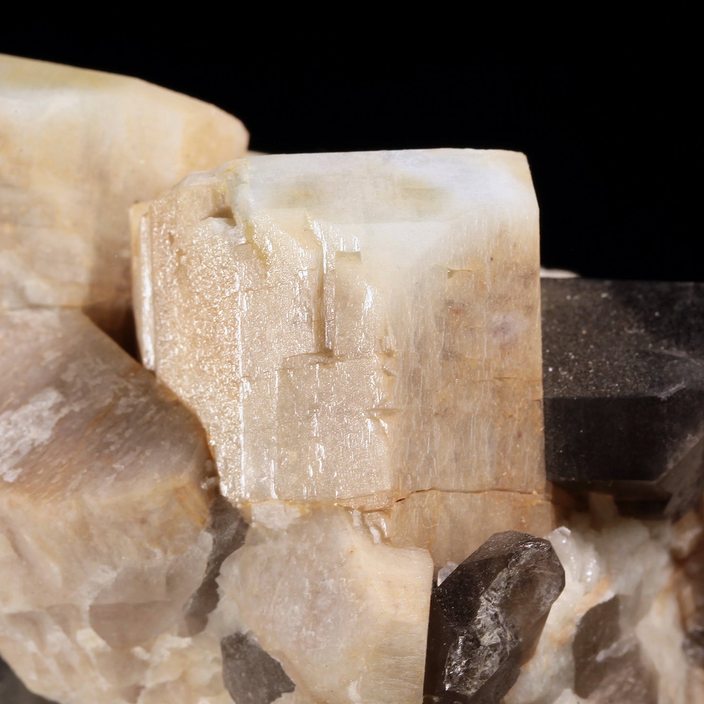 Microcline with Smoky Quartz and Albite