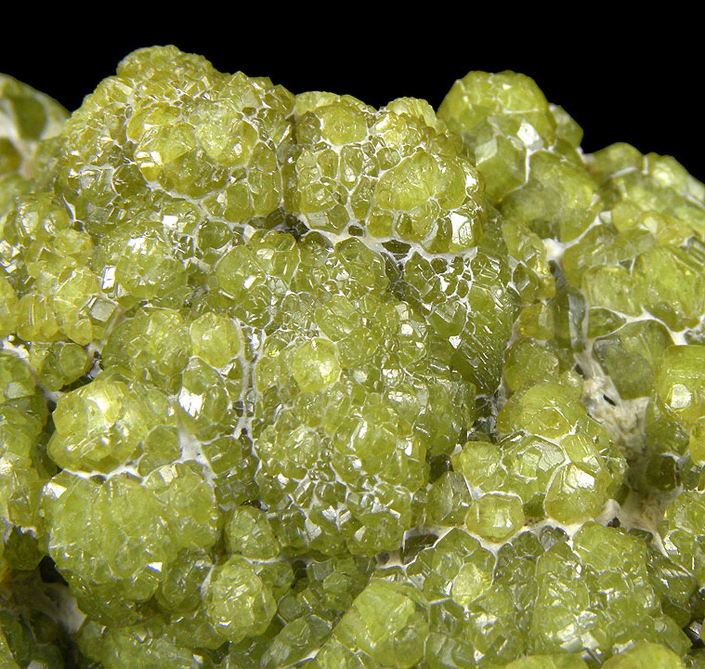Andradite (var - Demantoid)