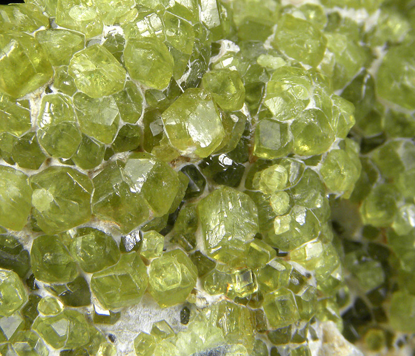 Andradite (var - Demantoid)