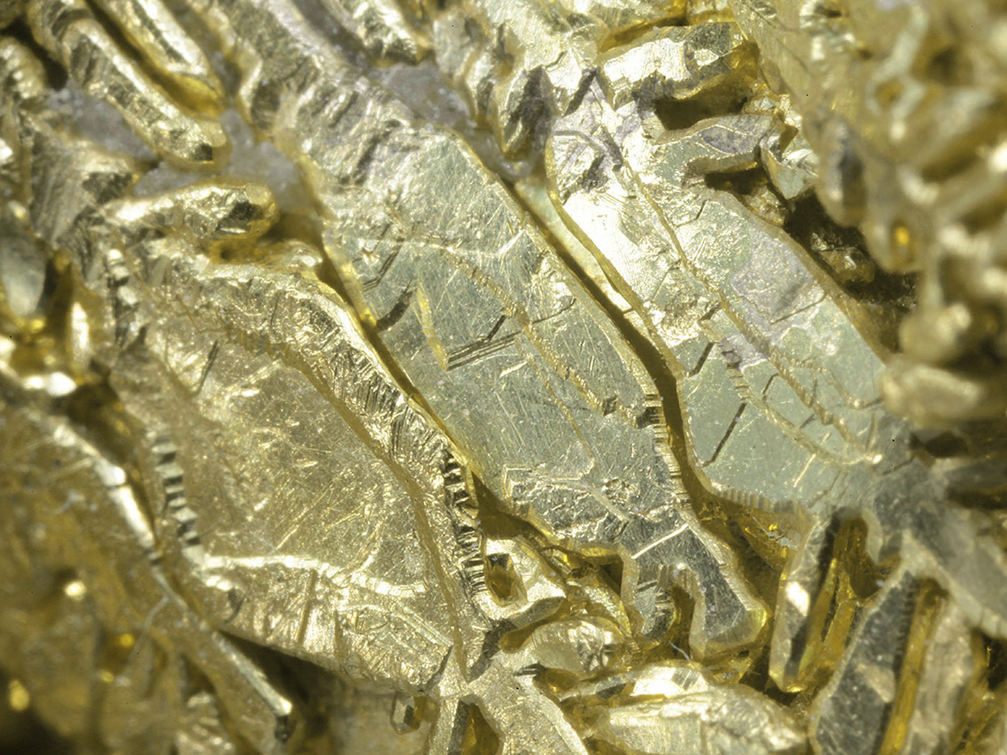 Gold