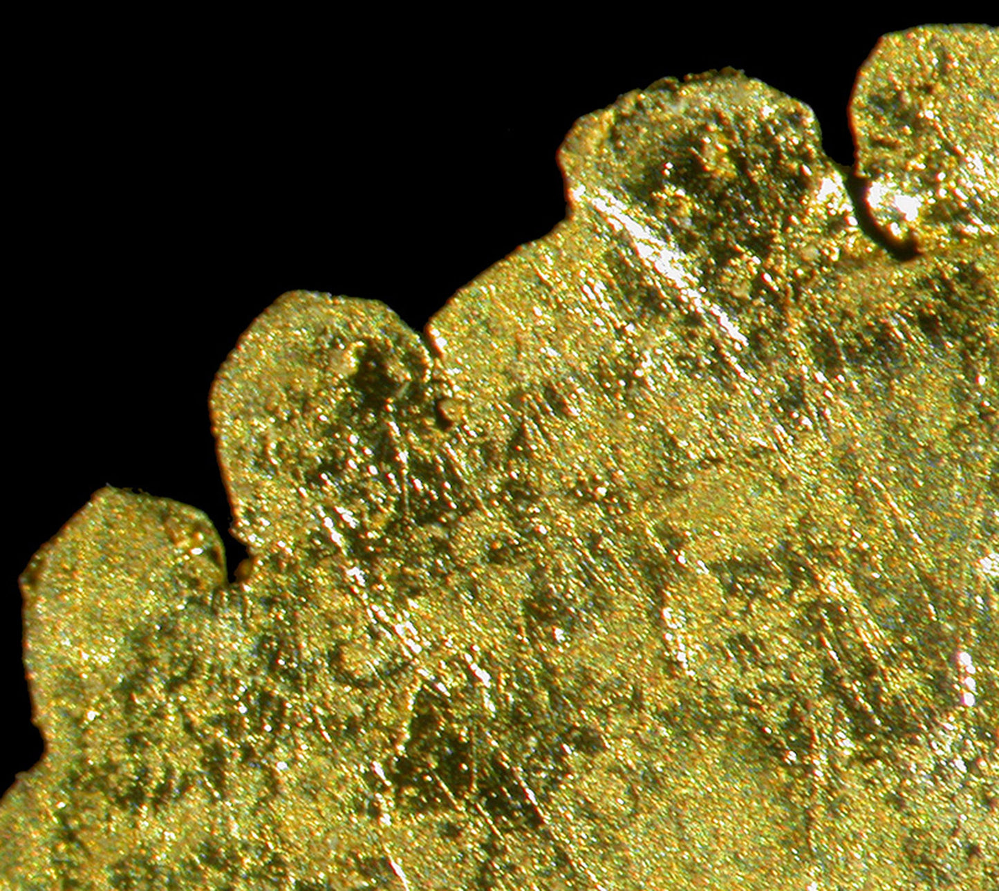 Leaf Gold