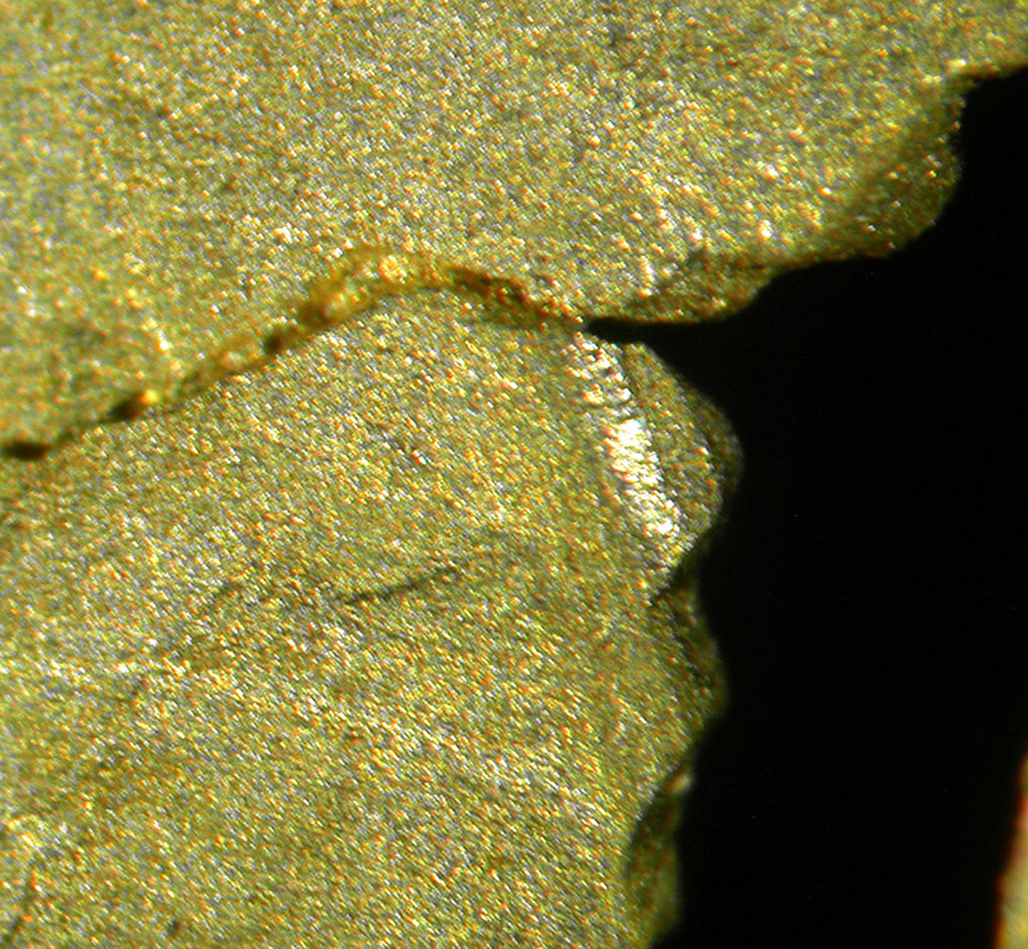 Leaf Gold