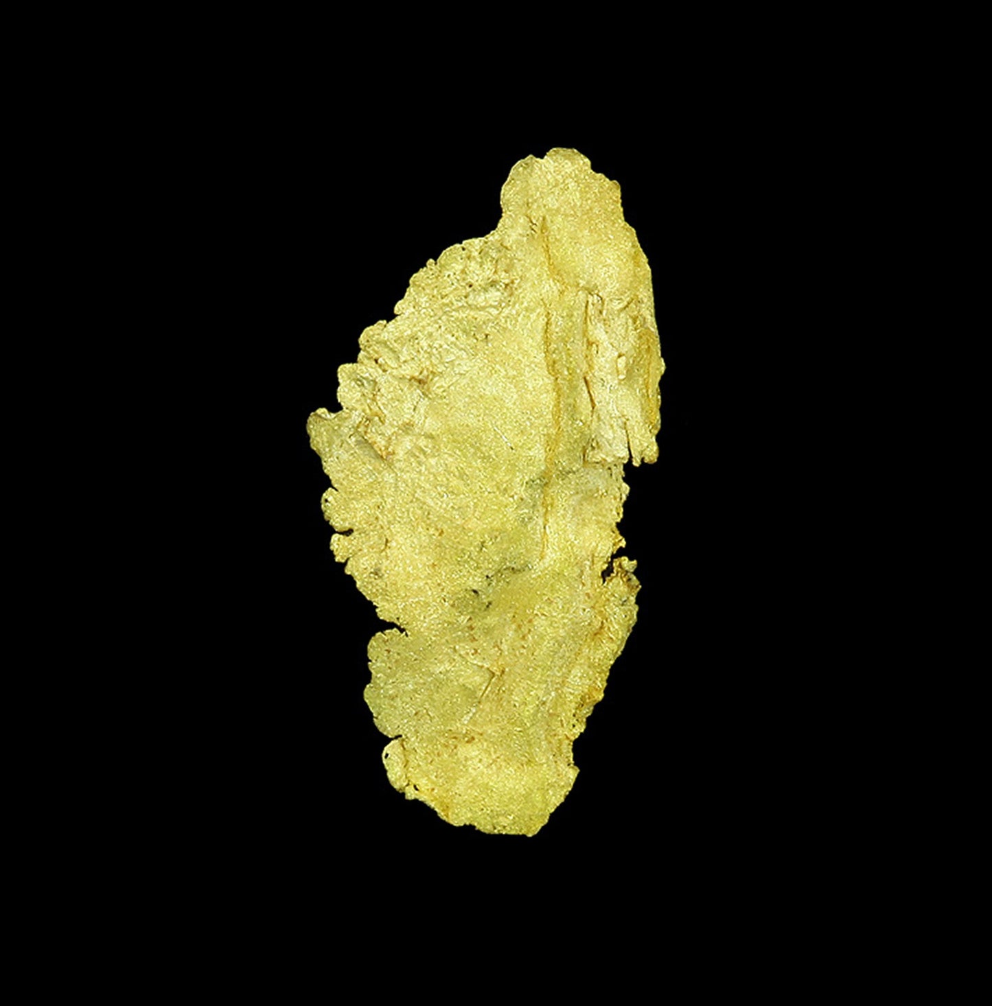 Leaf Gold