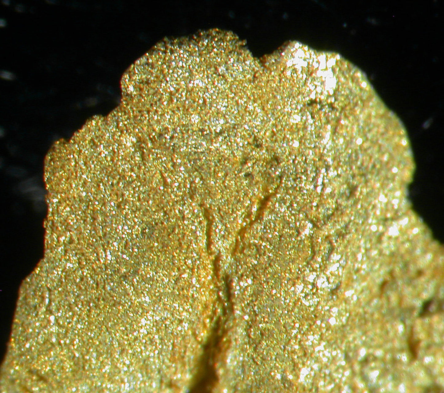 Leaf Gold