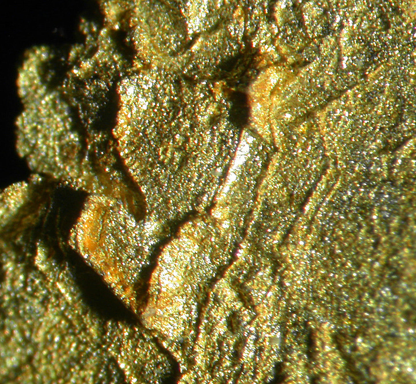 Leaf Gold