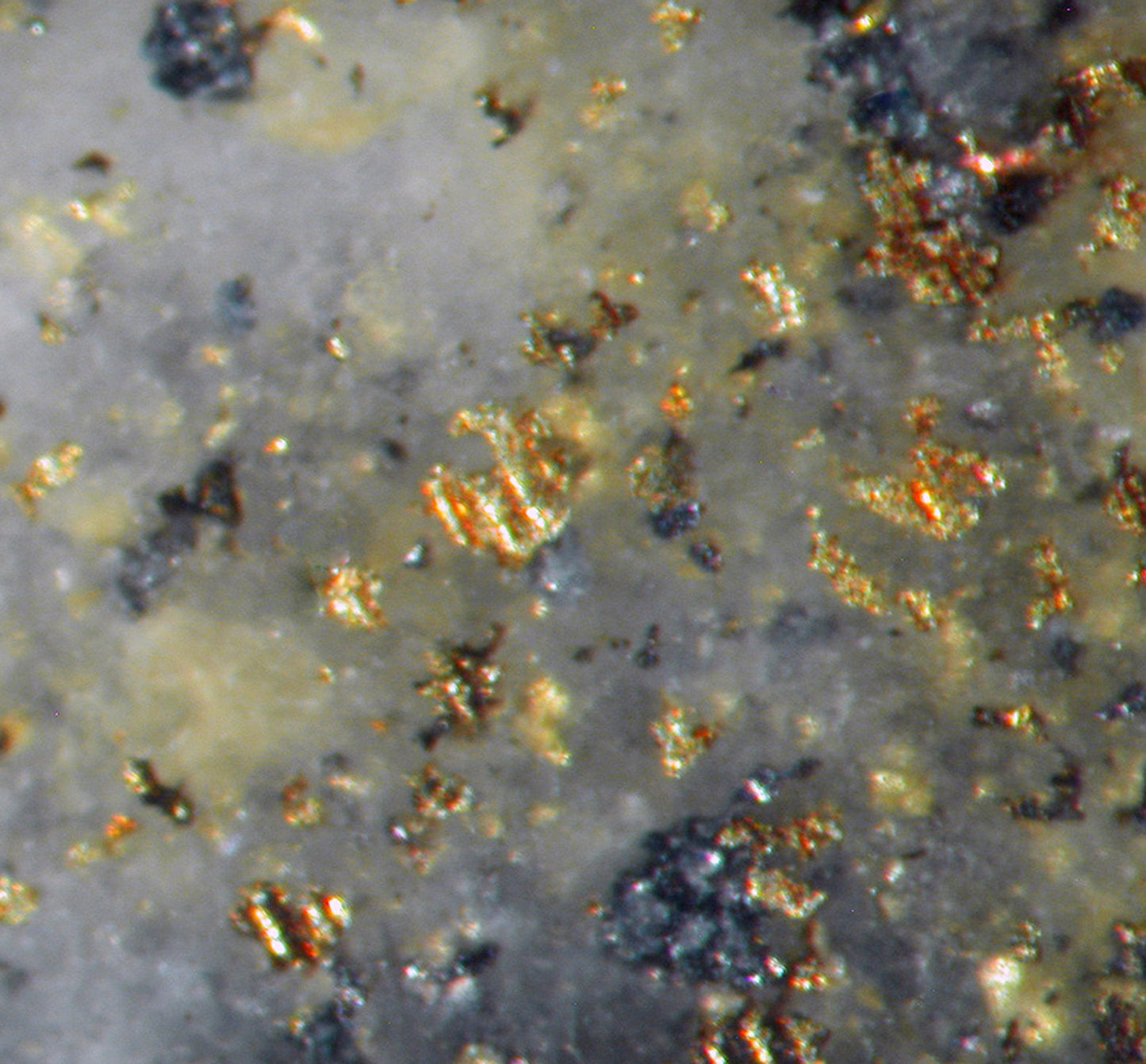 Gold with Pyroxmangite and sulfides plus Quartz