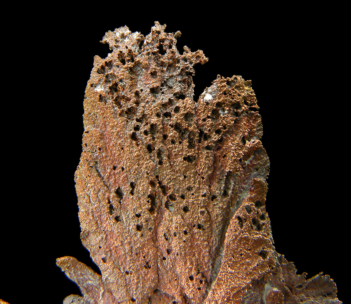 Copper
(leaf-like specimen)
