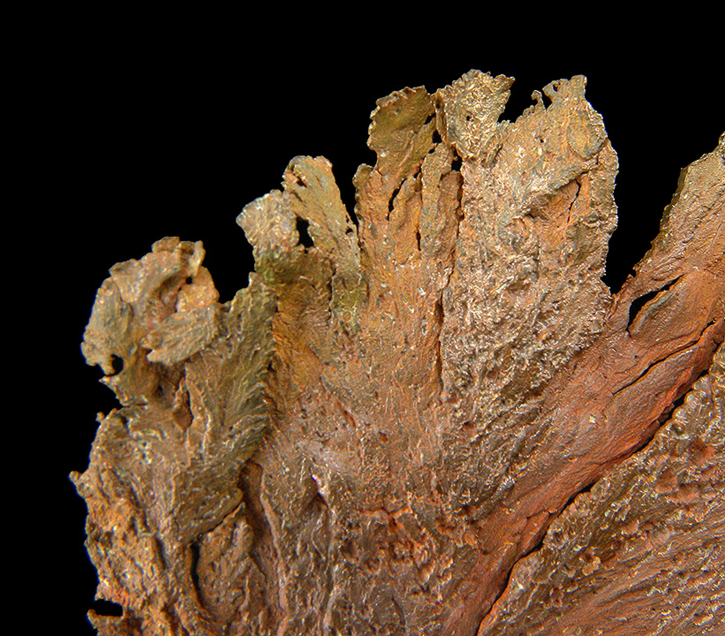 Copper
(leaf-like specimen)