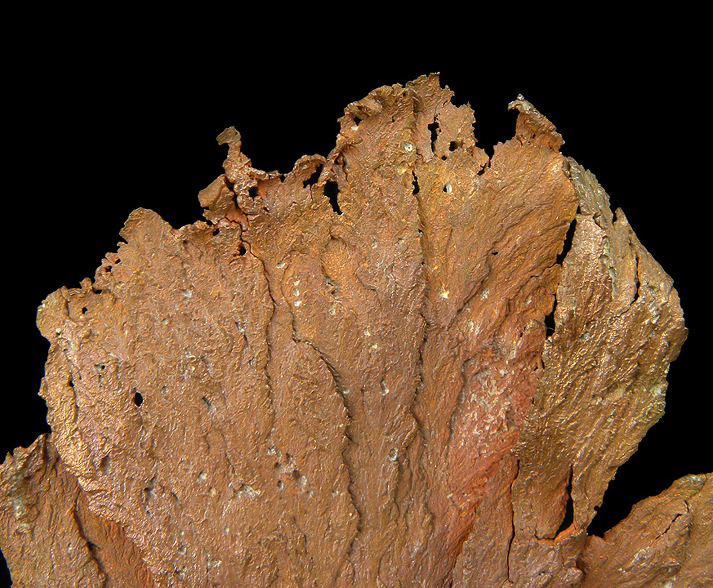 Copper
(leaf-like specimen)