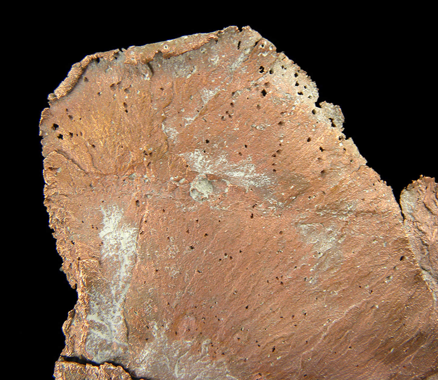 Copper
(leaf-like specimen)