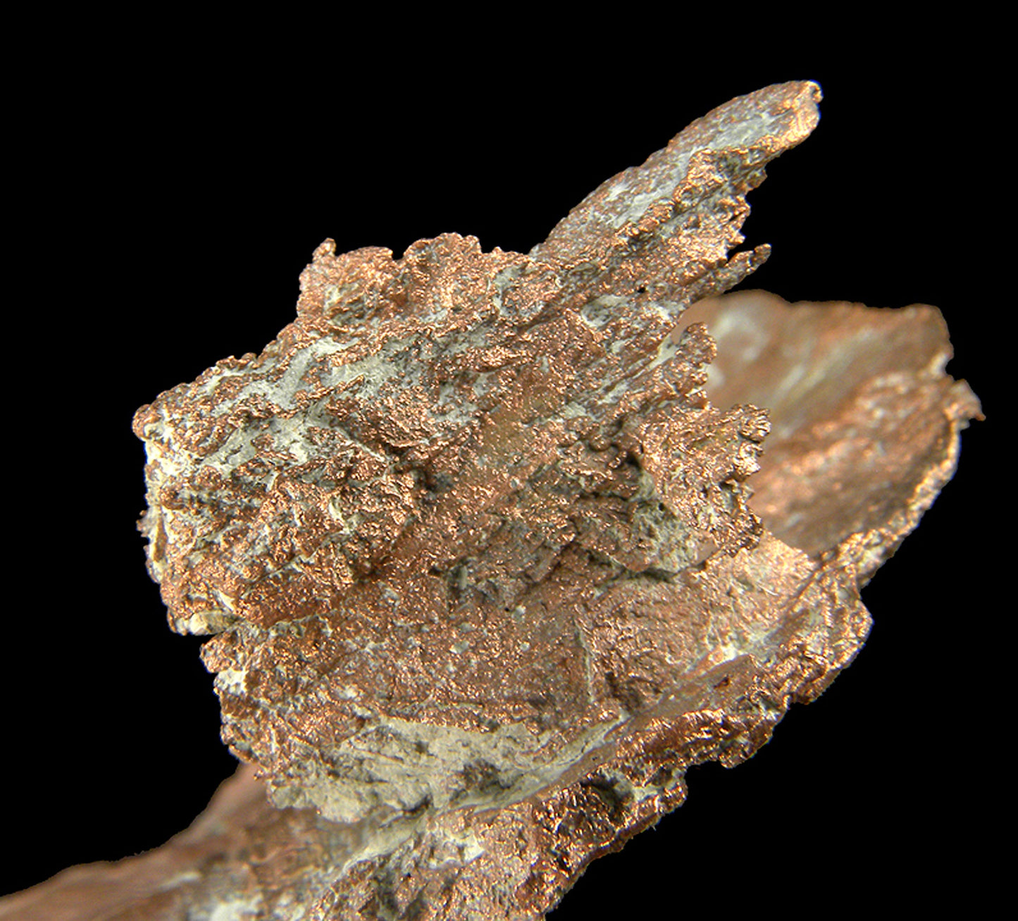 Copper
(leaf-like specimen)