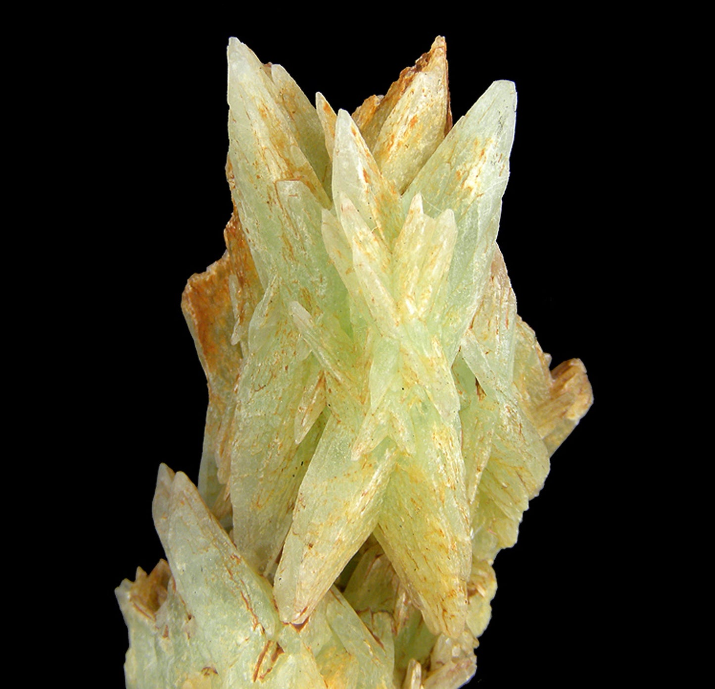Phosphophyllite