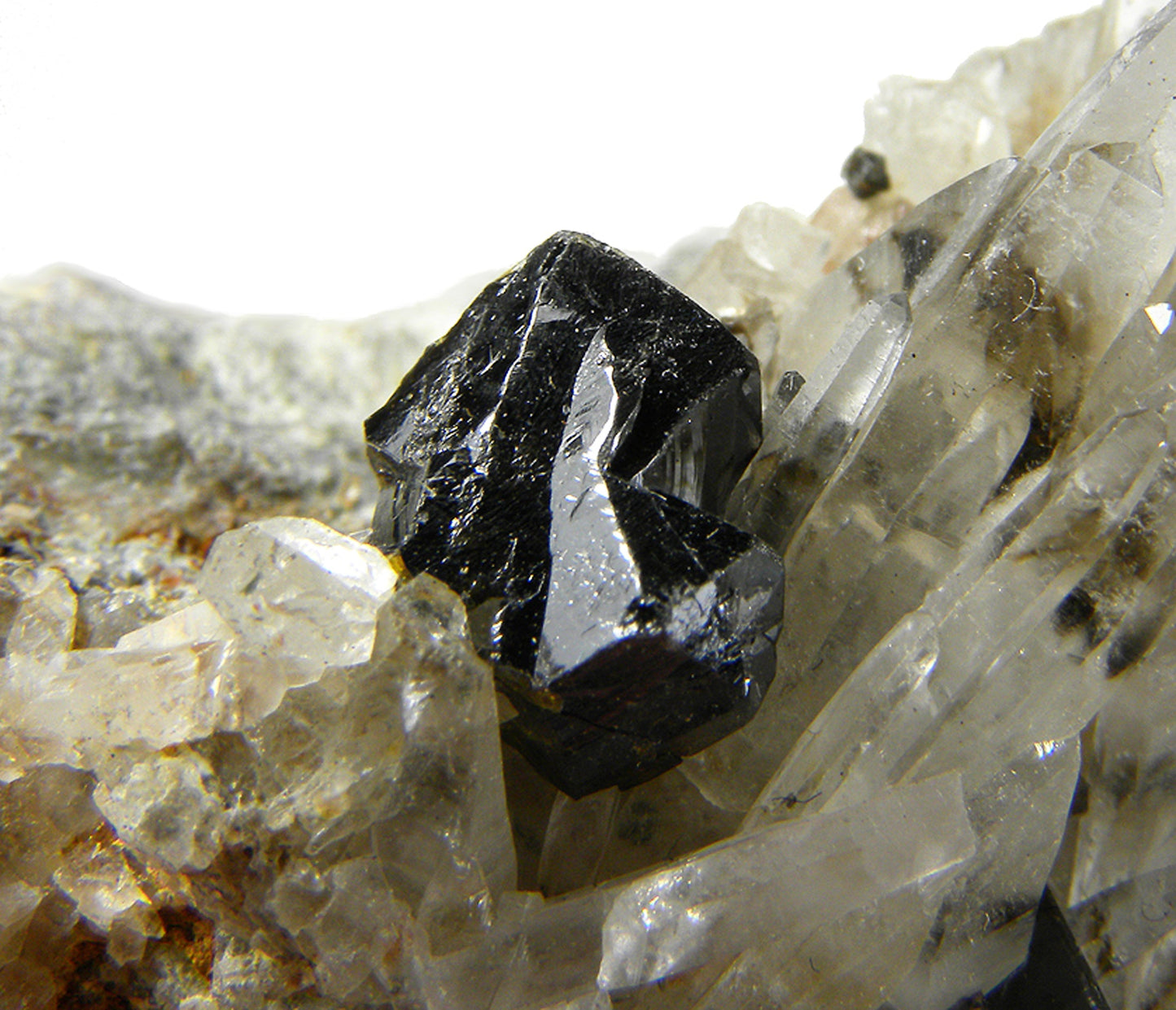 Cassiterite and Quartz with Smoky Quartz Phantoms