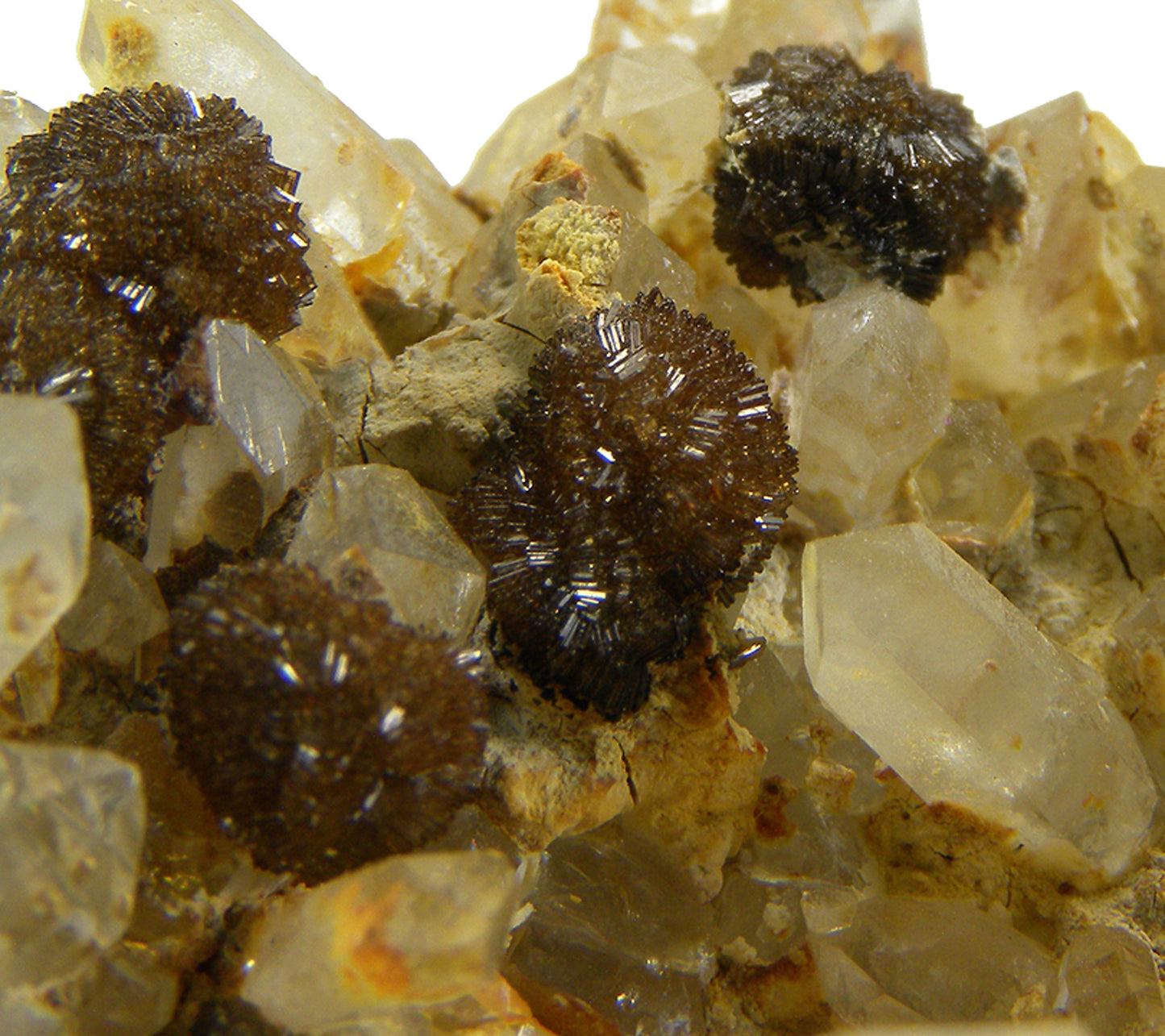 Childrenite on Quartz