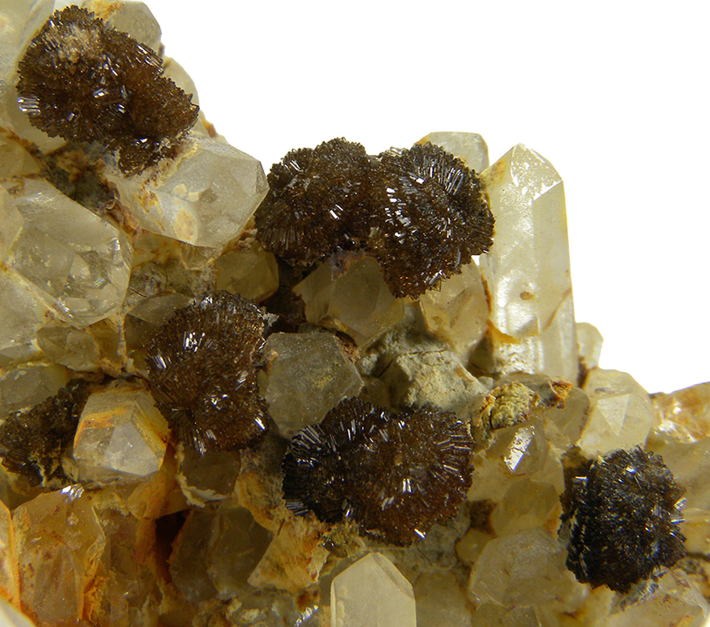 Childrenite on Quartz