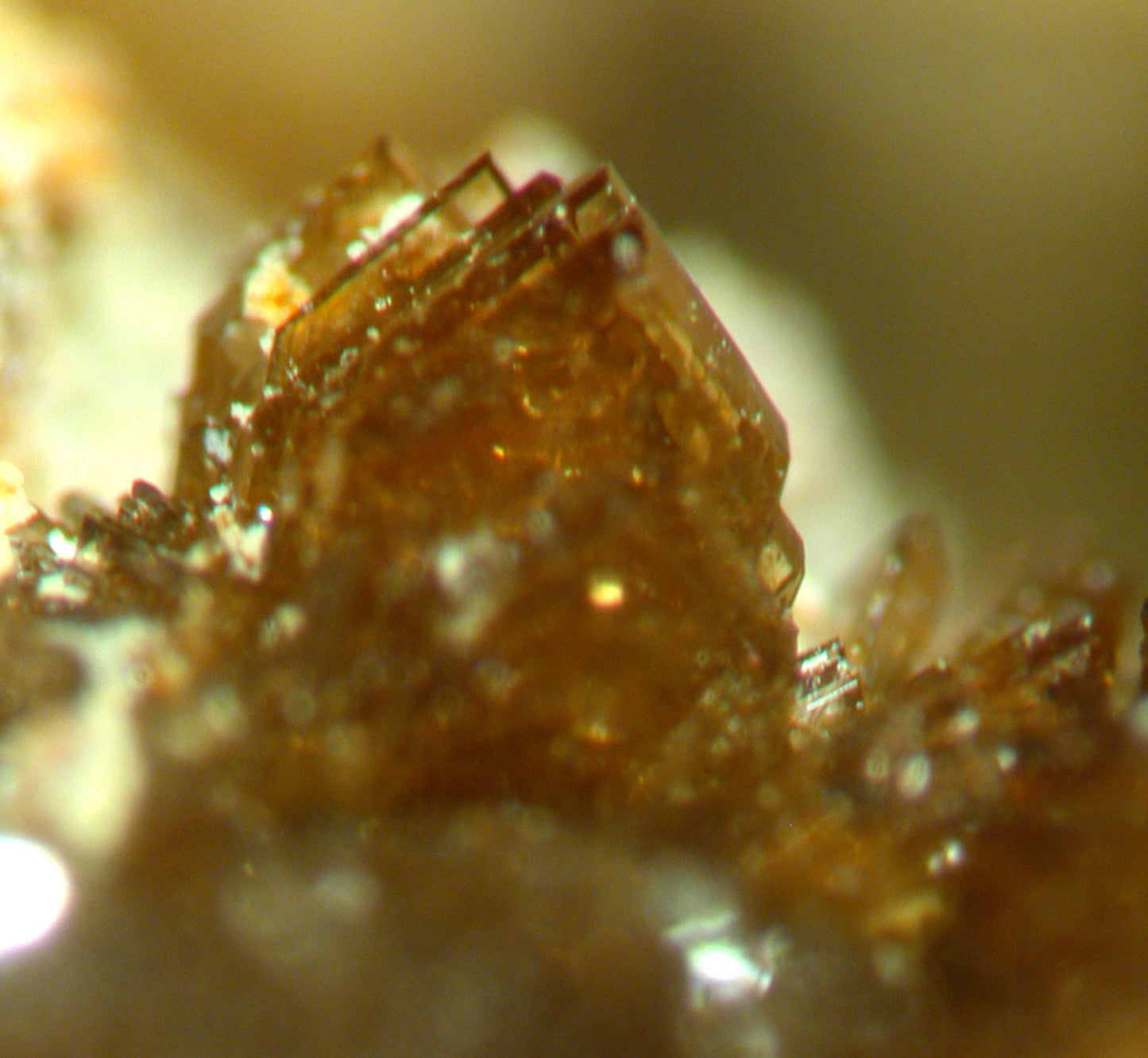 Childrenite on Quartz