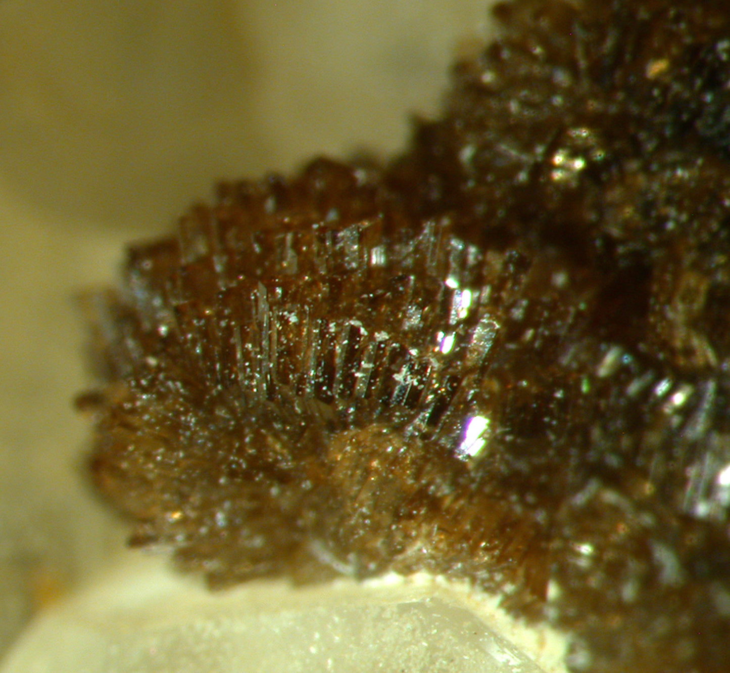 Childrenite on Quartz