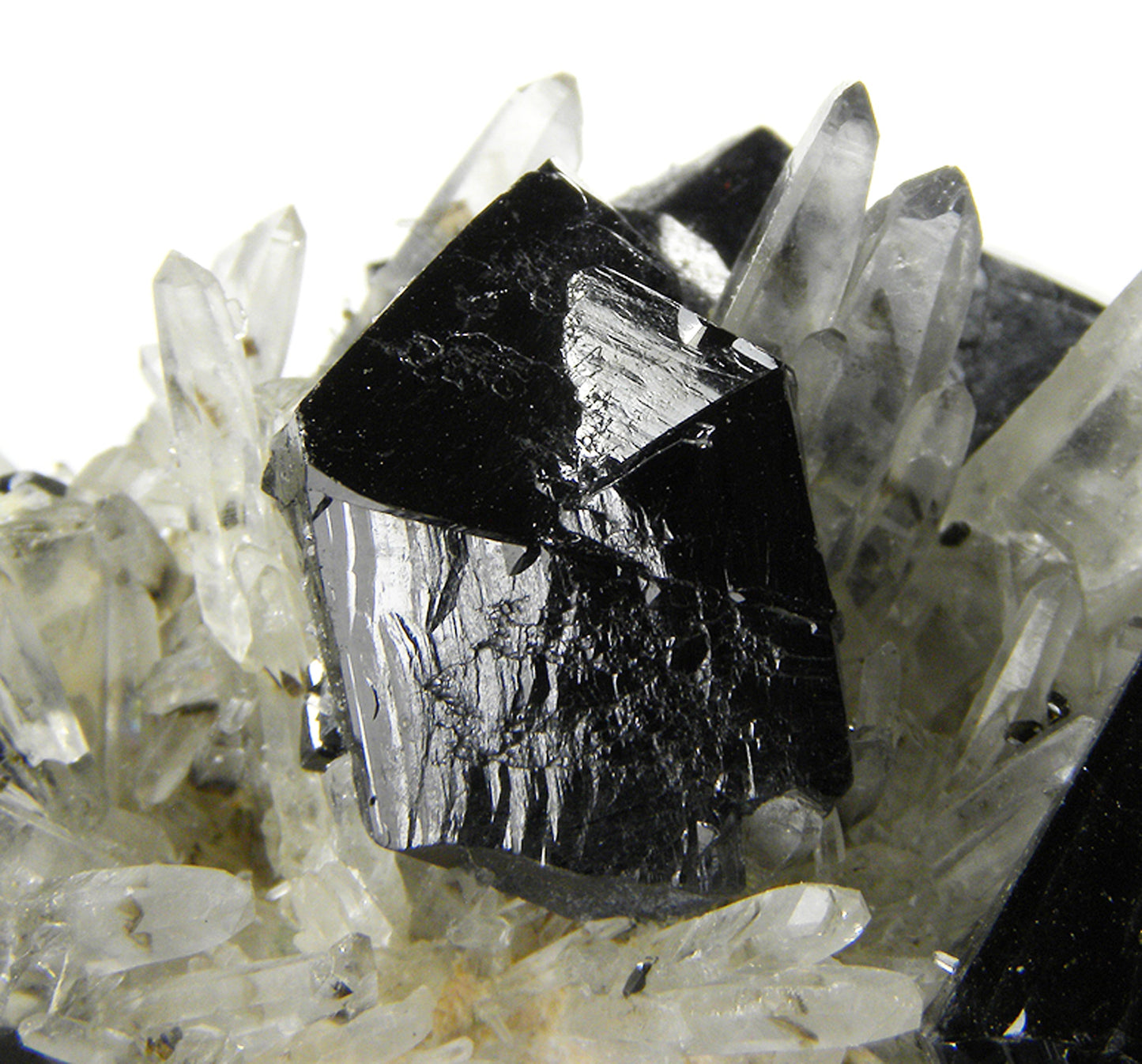 Cassiterite and Quartz with Smoky Quartz Phantoms