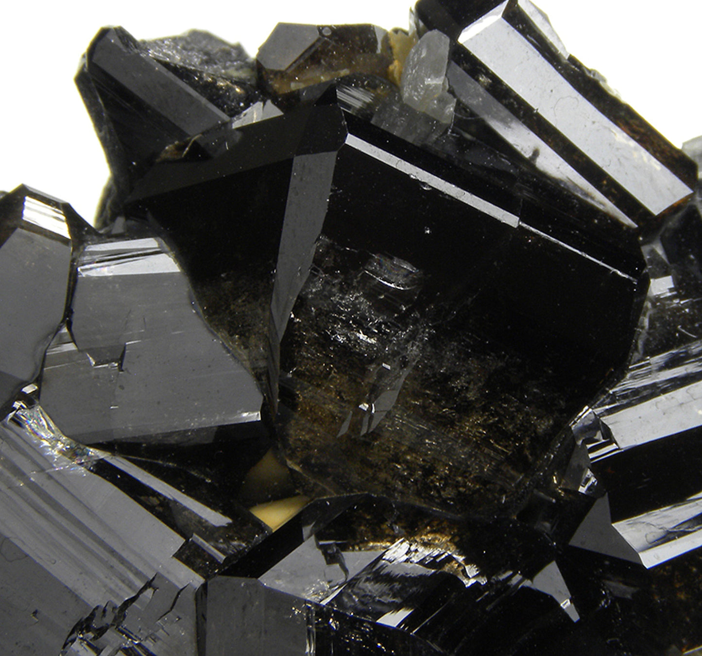 Cassiterite with Siderite and Quartz