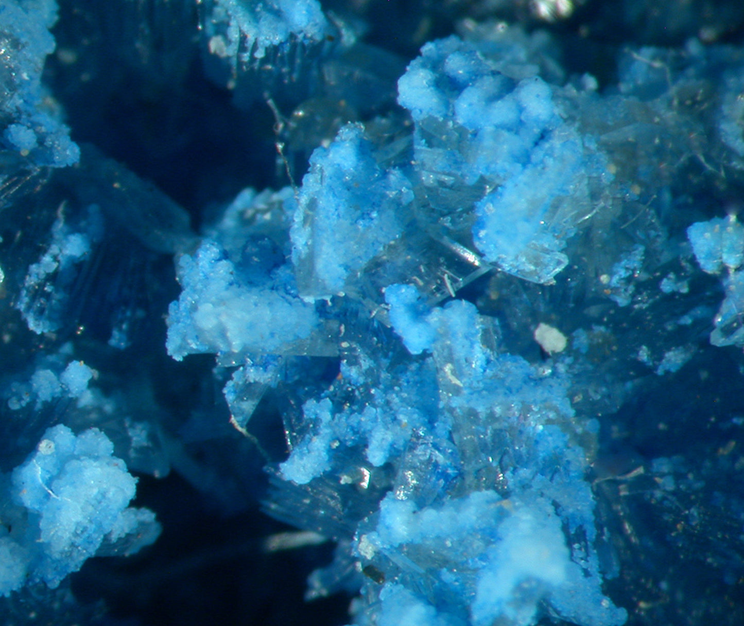 Vauxite
(outstanding color!)