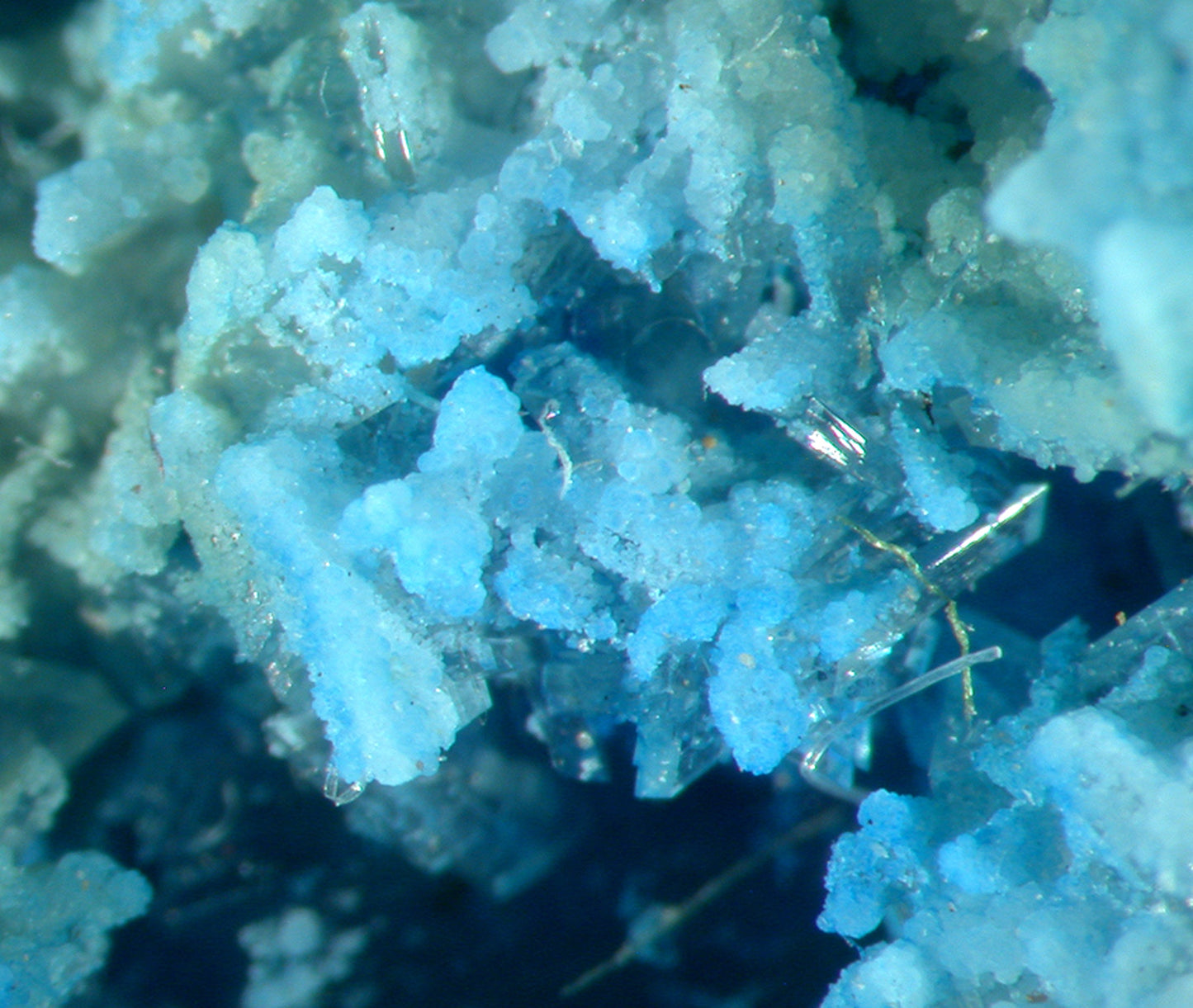 Vauxite
(outstanding color!)
