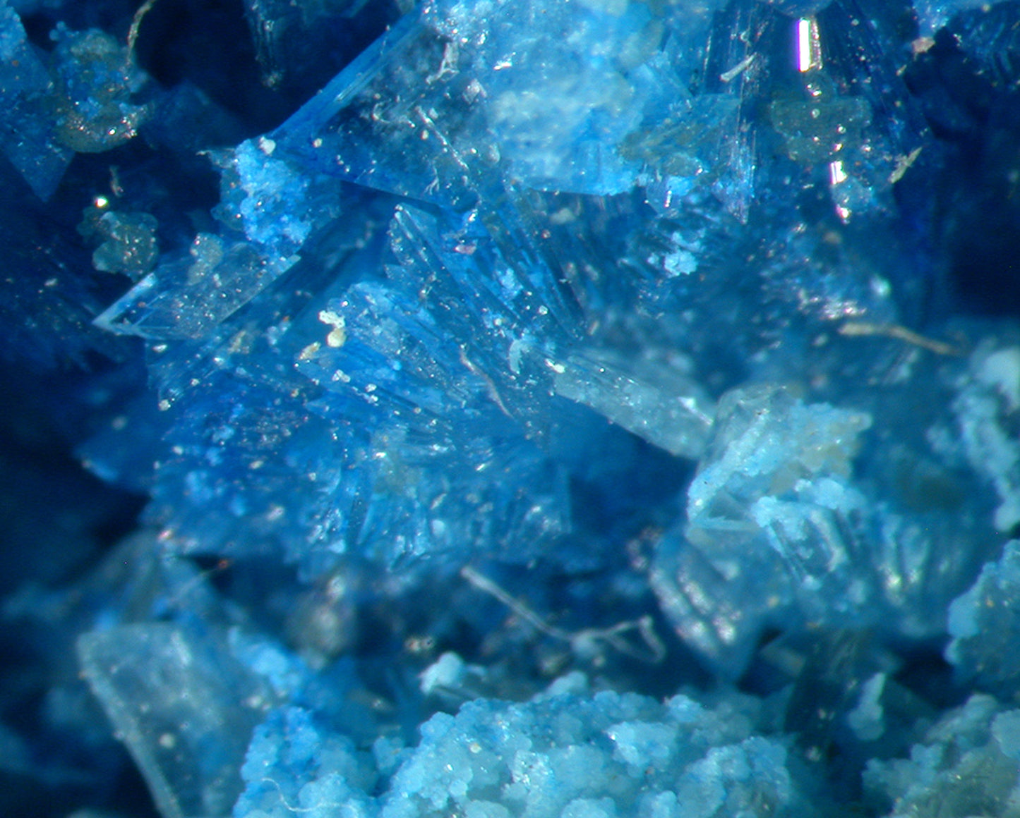 Vauxite
(outstanding color!)