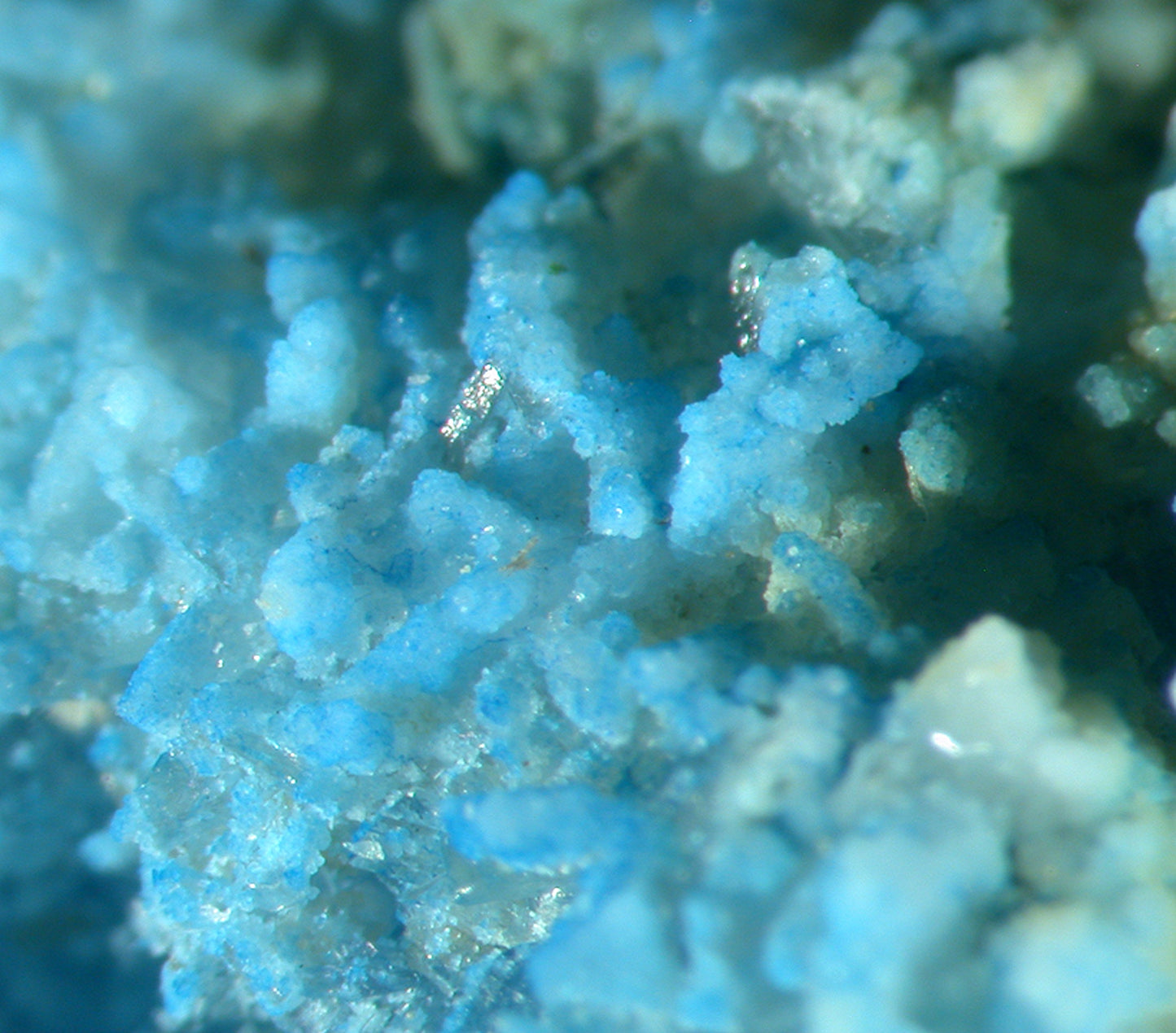 Vauxite
(outstanding color!)