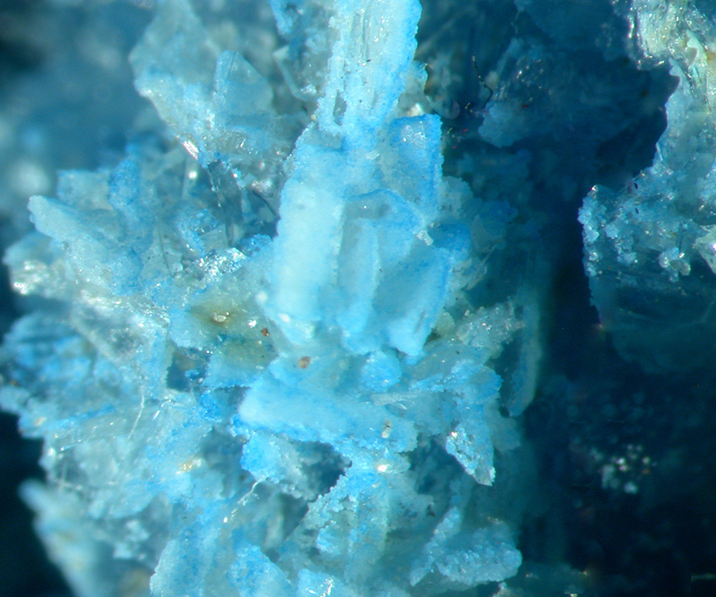 Vauxite
(outstanding color!)