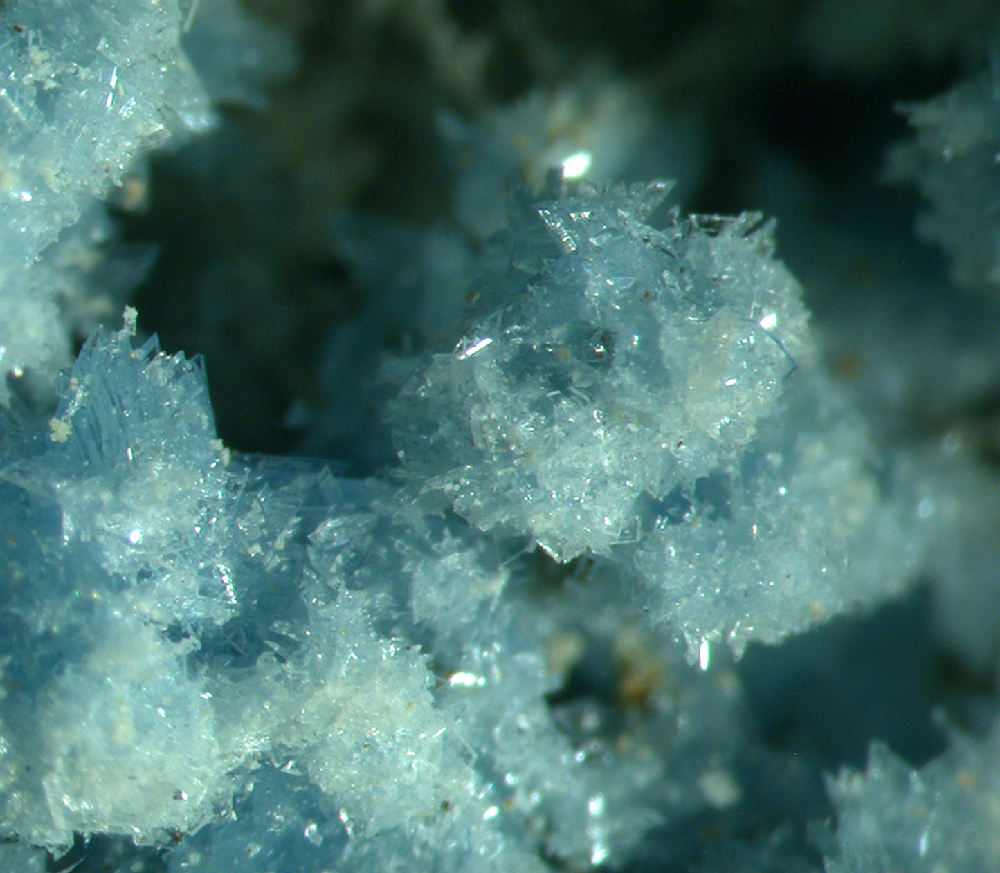 Vauxite, Paravauxite, Metavauxite, Sigloite, Quartz, Wavellite and Römerite