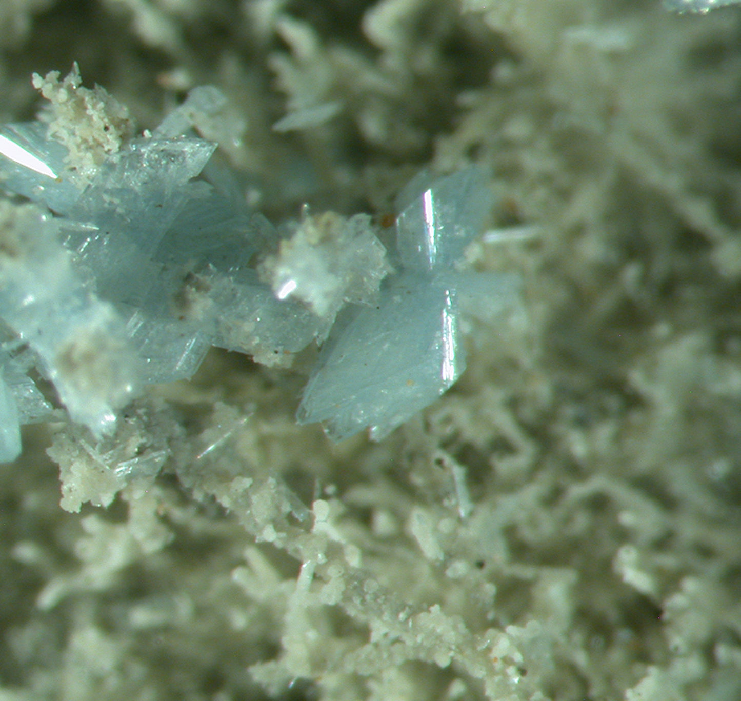 Vauxite, Paravauxite, Metavauxite, Sigloite, Quartz, Wavellite and Römerite