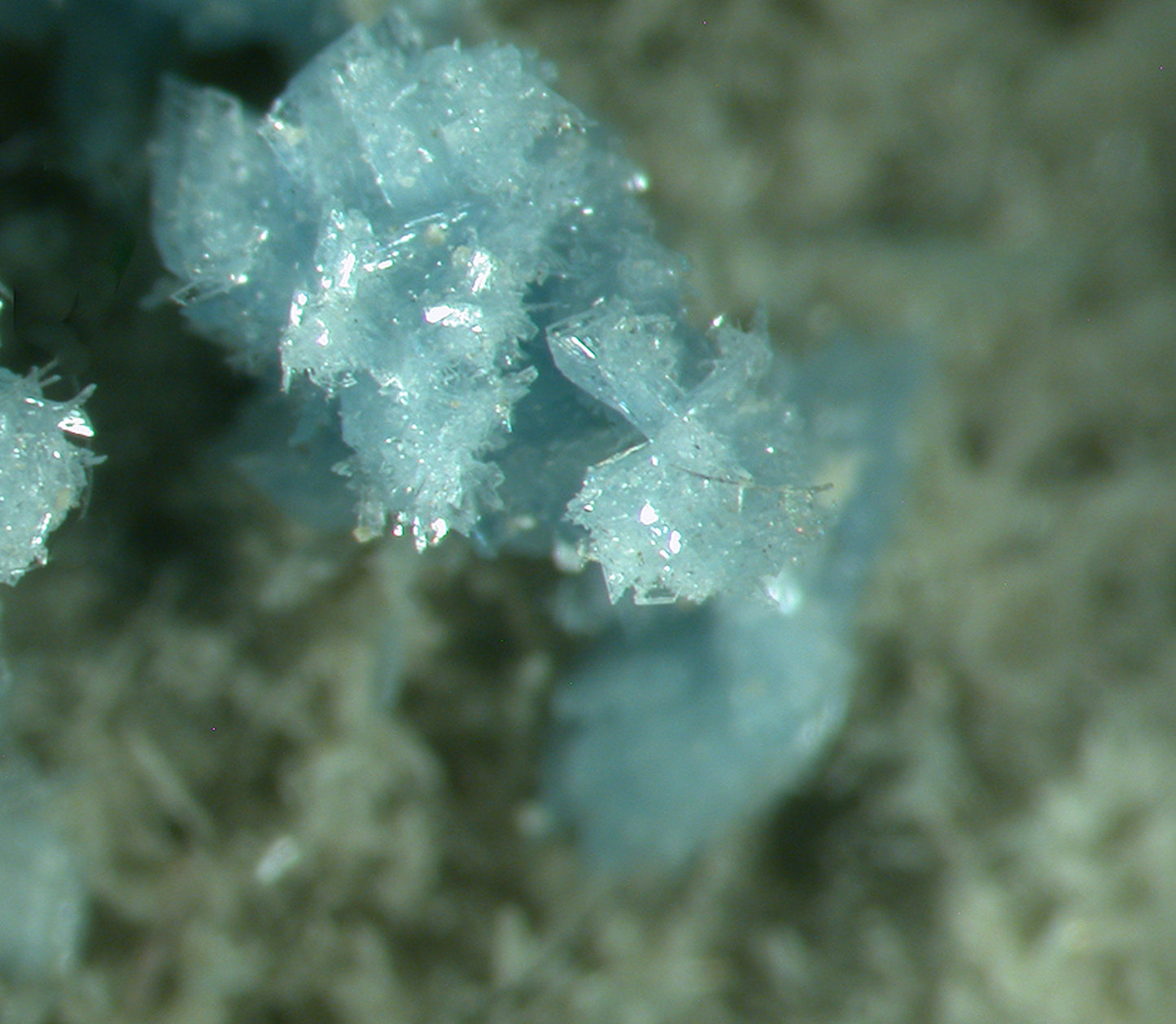 Vauxite, Paravauxite, Metavauxite, Sigloite, Quartz, Wavellite and Römerite