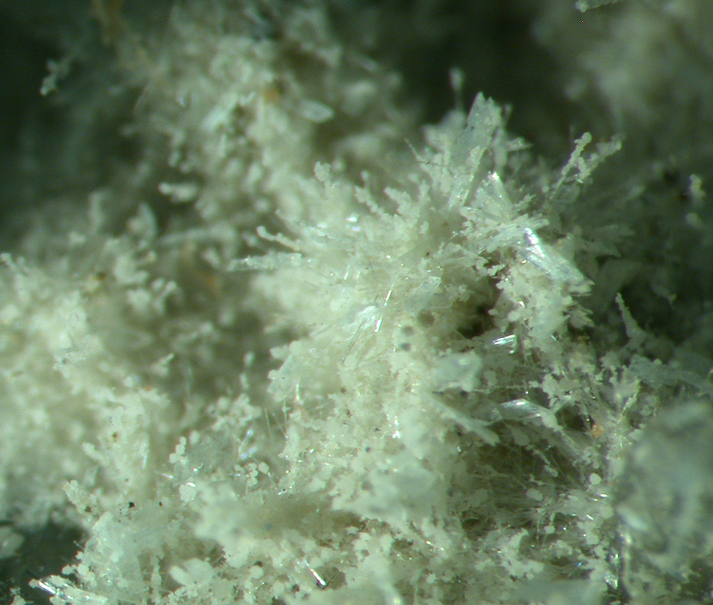 Vauxite, Paravauxite, Metavauxite, Sigloite, Quartz, Wavellite and Römerite